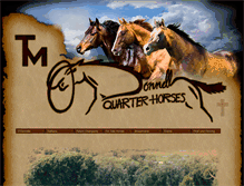 Tablet Screenshot of odonnellquarterhorses.com